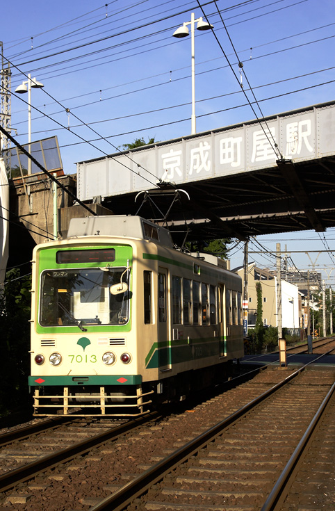saisin-547.jpg