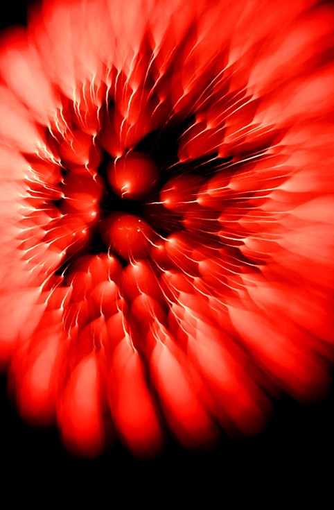 saisin-558.jpg
