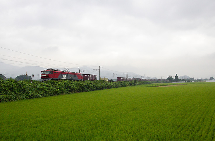 saisin-571.jpg