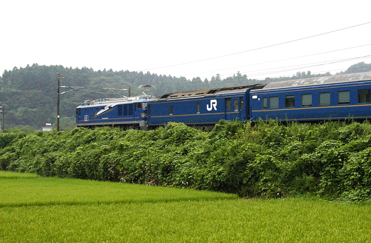 saisin-573.jpg
