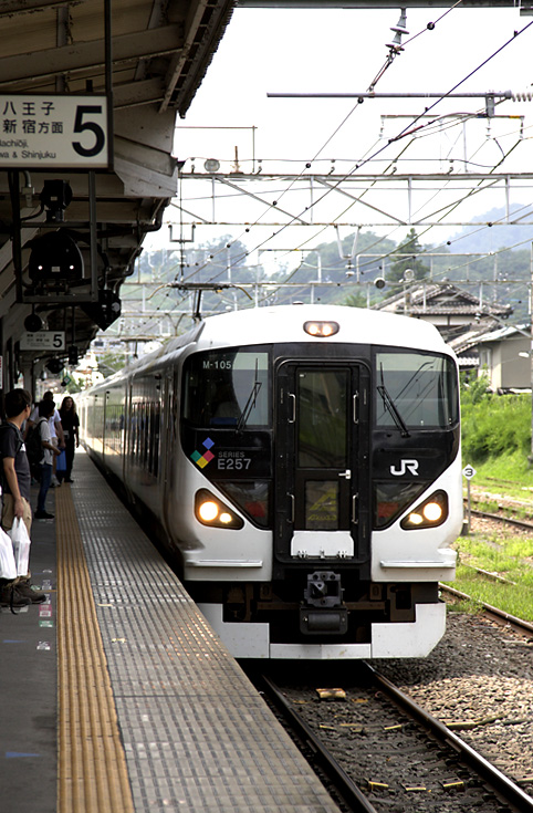 saisin-609.jpg