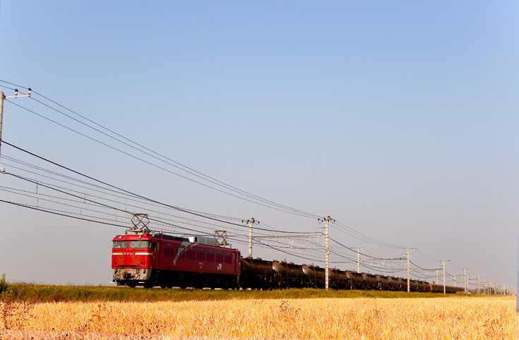 EF81-139.jpg