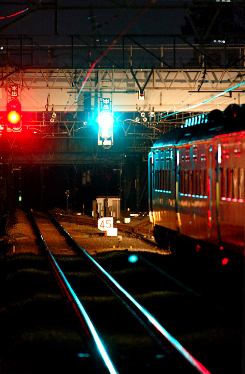 saisin-1027.jpg