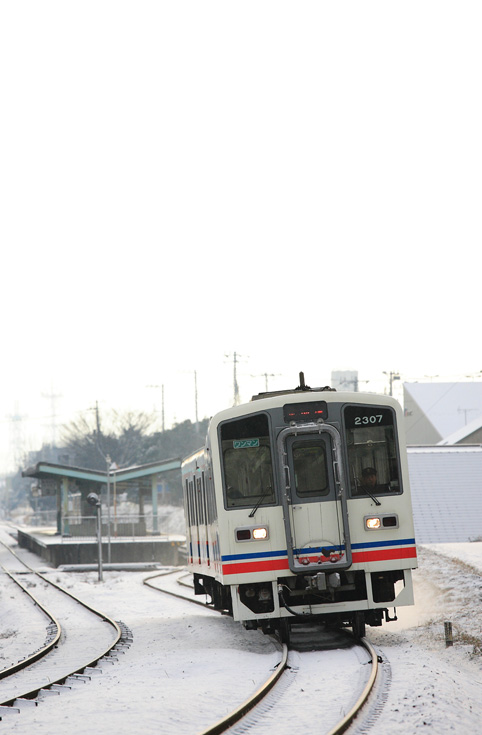 saisin-1115.jpg