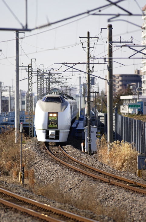 saisin-11253.jpg