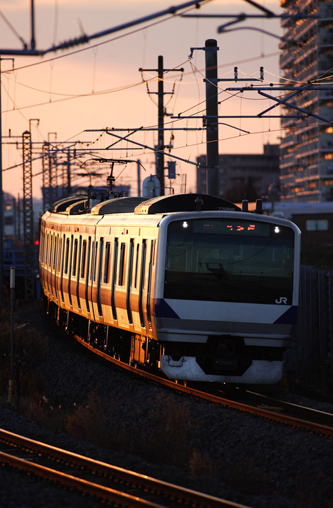 saisin-1132.jpg
