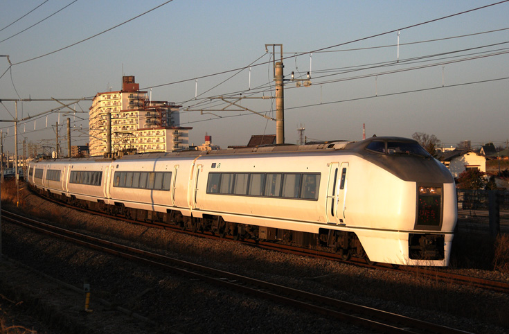 saisin-1145.jpg