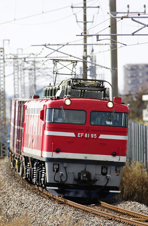 EF81-267.jpg