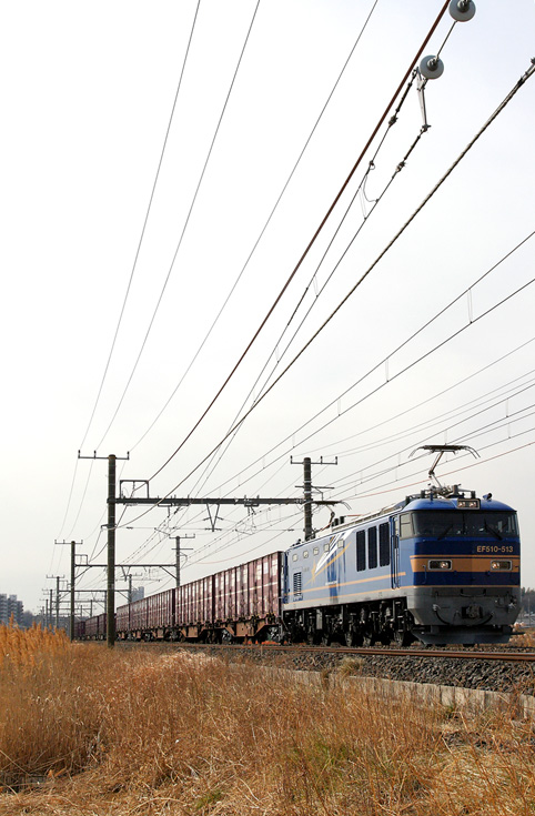 saisin-1157.jpg