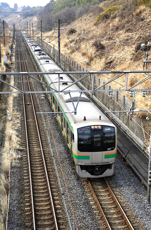 saisin-1172.jpg