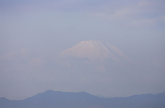 saisin-2-250.jpg