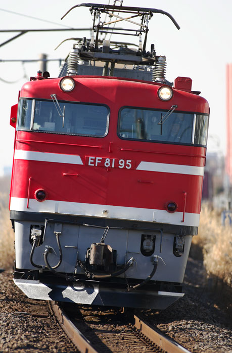 saisin-2-2383.jpg