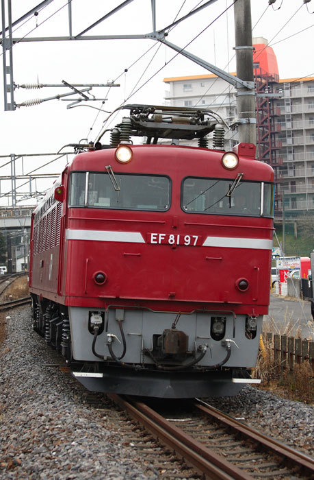 saisin-2-2465.jpg