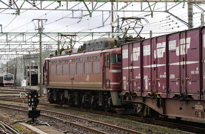 saisin-2-2576.jpg