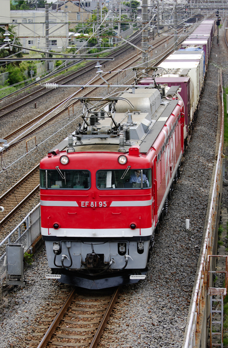 saisin-2-2817.jpg