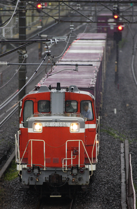 saisin-2-2866.jpg
